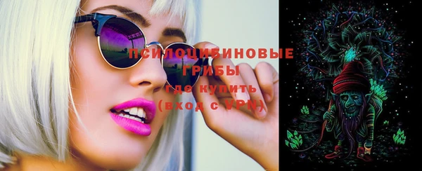 ешки Осинники