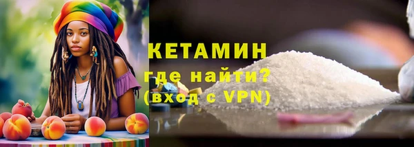 сатива Новозыбков