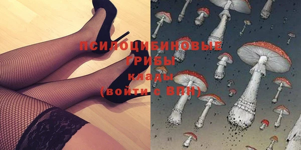 амф Нязепетровск