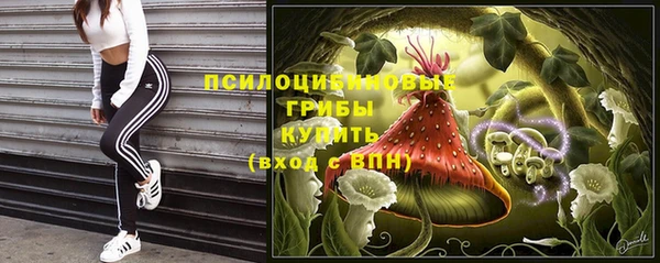 амф Нязепетровск