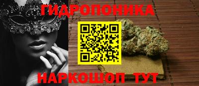 крисы Абакан