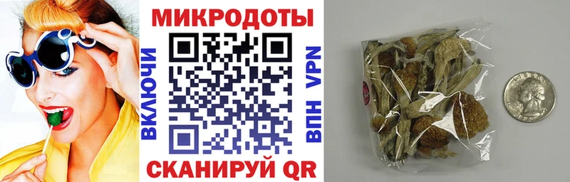 Галлюциногенные грибы GOLDEN TEACHER  что такое наркотик  Клин 