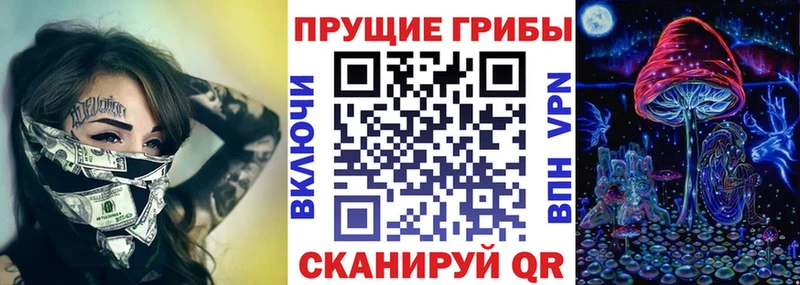 Галлюциногенные грибы Psilocybe Клин